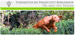 Tierärztliche Praxis Gut Bergerhof Dr. Carlo Pingen